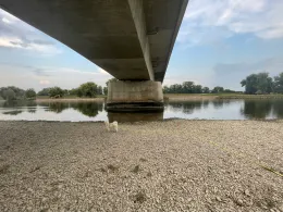 Donau (Neustadt an der Donau)-3