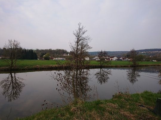 Altmühl (Dollnstein) angeln