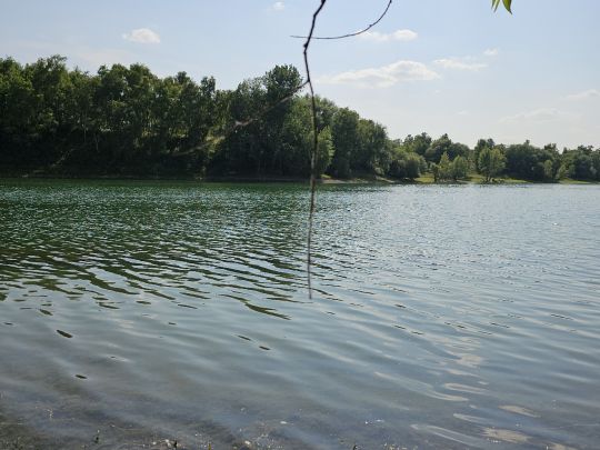 Silbersee (Neuss - Dormagen)-3