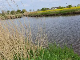 Neuharlinger Sieltief-2