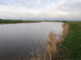 Neuharlinger Sieltief