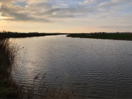 Neuharlinger Sieltief-4