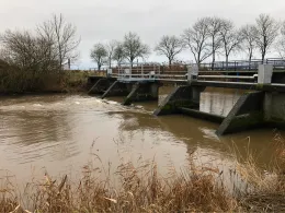 Neuharlinger Sieltief-1