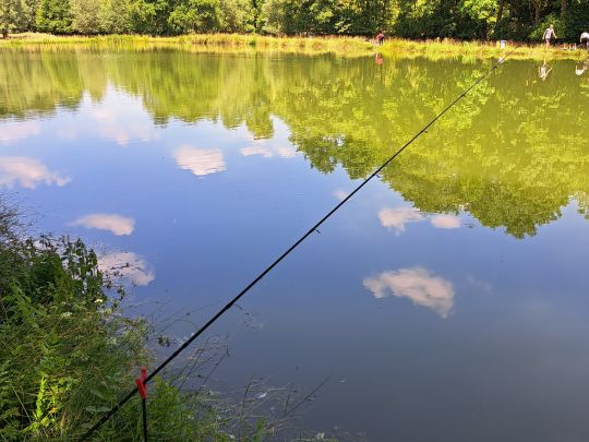 Fischzucht Obermühle Beine-3