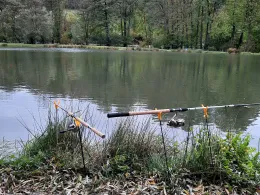 Fischzucht Obermühle Beine-2