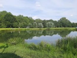 Fischzucht Obermühle Beine-1