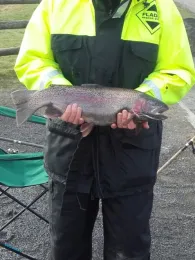 Fischzucht Obermühle Beine-4