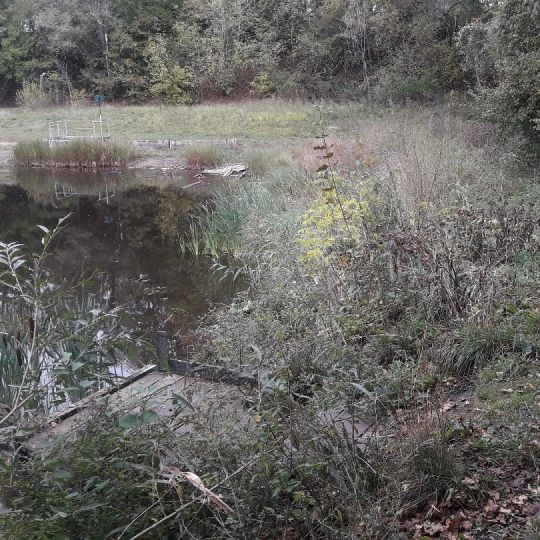 Badetonkuhle Aschersleben angeln