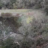 Badetonkuhle Aschersleben-1