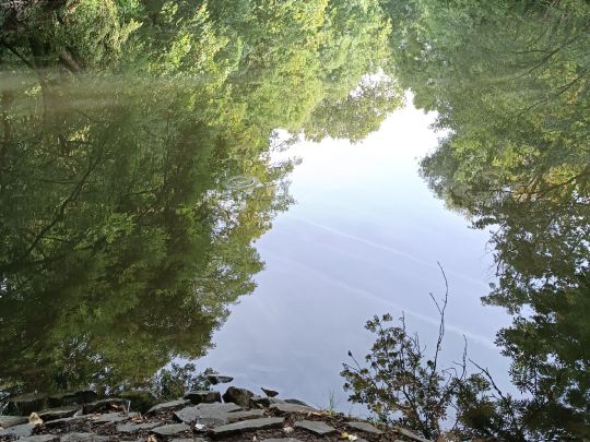 Nidda (Frankfurt-Hausen)-4