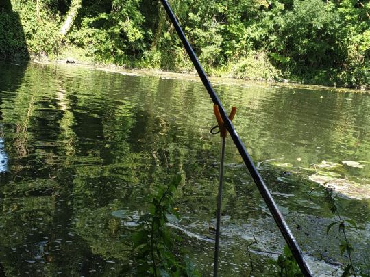 Nidda (Frankfurt-Hausen)-3