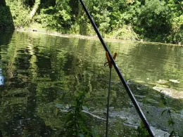 Nidda (Frankfurt-Hausen)-3