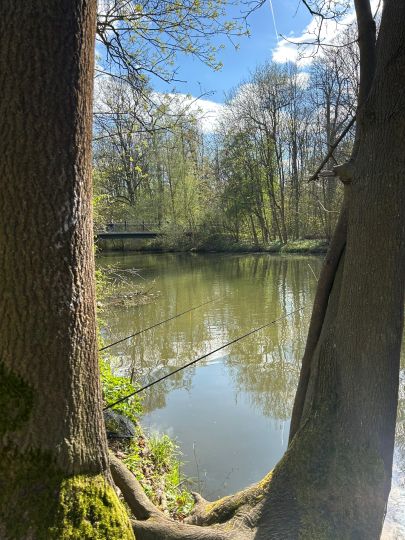 Pleiße (Leipzig)-2