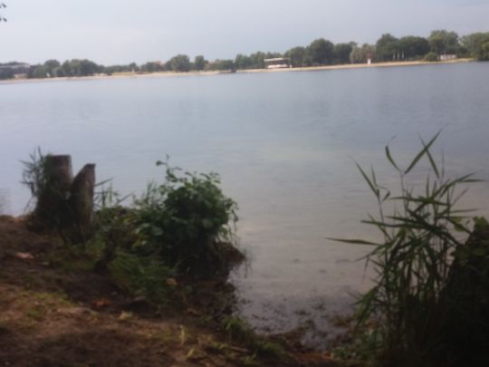 Allersee (Wolfsburg) ALLE ANGELN