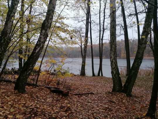 Kleiner Däbersee-1