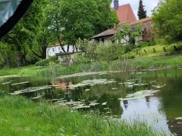 Wallgraben (Delitzsch)