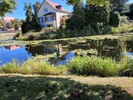 Wallgraben (Delitzsch)-1