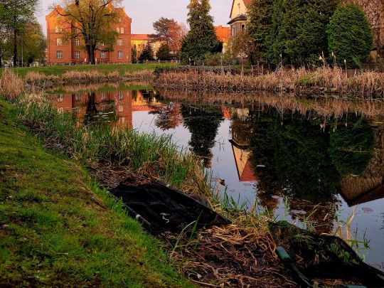 Wallgraben (Delitzsch)-4