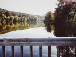 Lauser Weiher (Unterlaus)-4