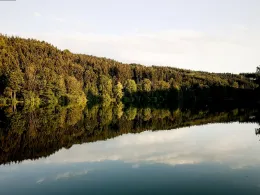 Lauser Weiher (Unterlaus)-3