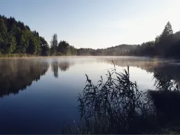 Lauser Weiher (Unterlaus)