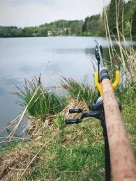 Lauser Weiher (Unterlaus)-1