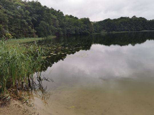 Wötielsee (Blumenholz)-2