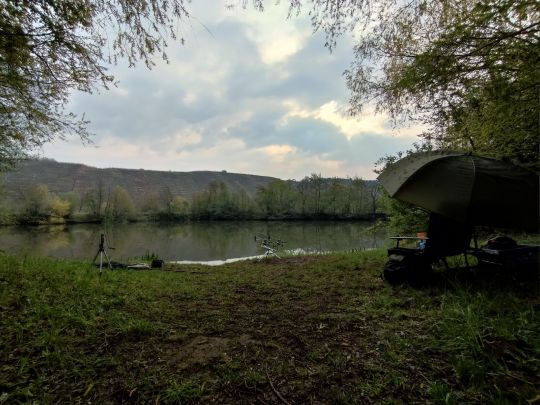 Neckar (Besigheim)-2