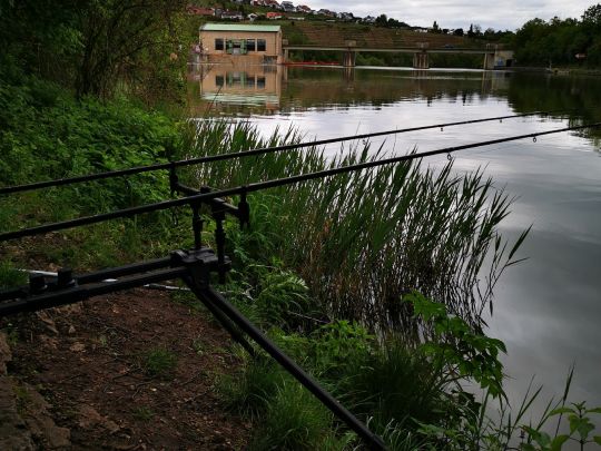 Neckar (Besigheim)-3