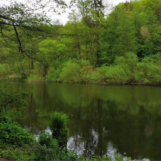 Flöha (Grünhainichen-Borstendorf)
