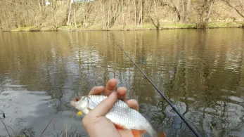 Flöha (Grünhainichen-Borstendorf)-3