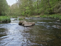 Flöha (Grünhainichen-Borstendorf)-3