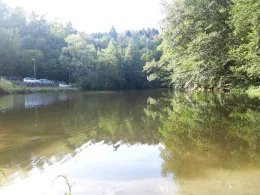 Flöha (Grünhainichen-Borstendorf)-1