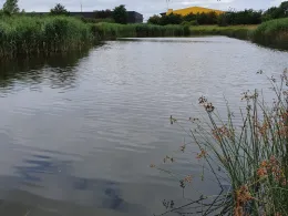 Schlossteich Glücksburg