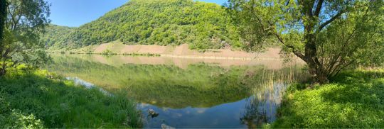 Mosel (Briedern)