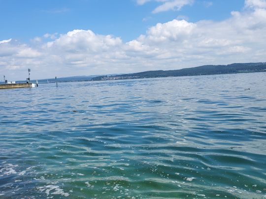 Bodensee (Mainau)-4