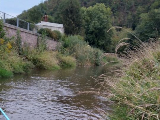 Weißeritz (Freital)-4