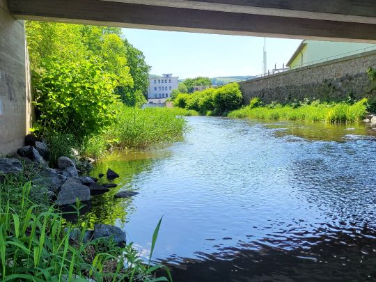 Weißeritz (Freital)-1