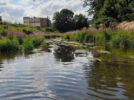 Weißeritz (Freital)-3