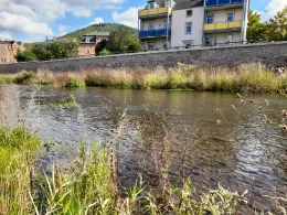 Weißeritz (Freital)-2