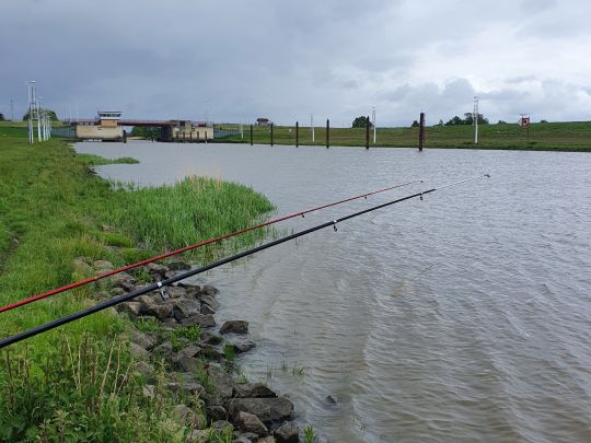 Krückau (Seestermühe)