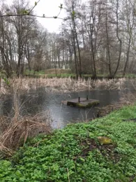 Steinbachteich (Deersheim)