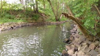 Dahme (Rietzneuendorf-Staakow)-2