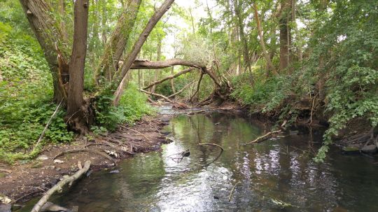 Dahme (Rietzneuendorf-Staakow)-3