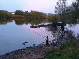 Main (Wörth/Erlenbach)-1