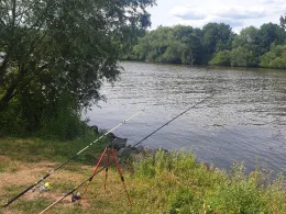 Main (Wörth/Erlenbach)-3