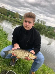 Main (Wörth/Erlenbach)-2