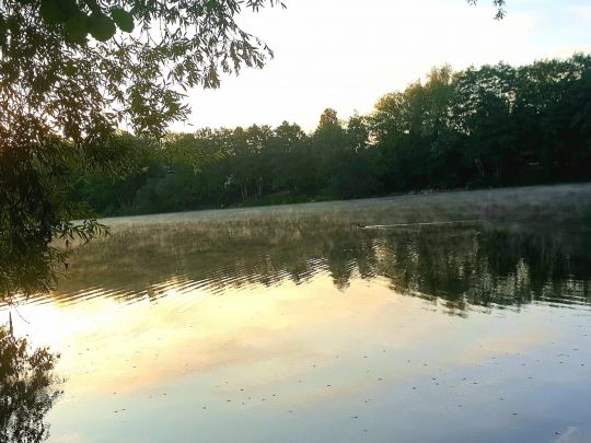 Groß Glienicker See-3