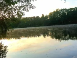 Groß Glienicker See-3