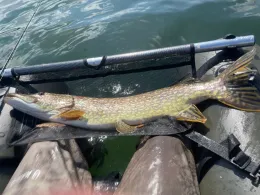 Groß Glienicker See-2